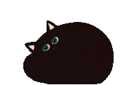 Sleepy Cat